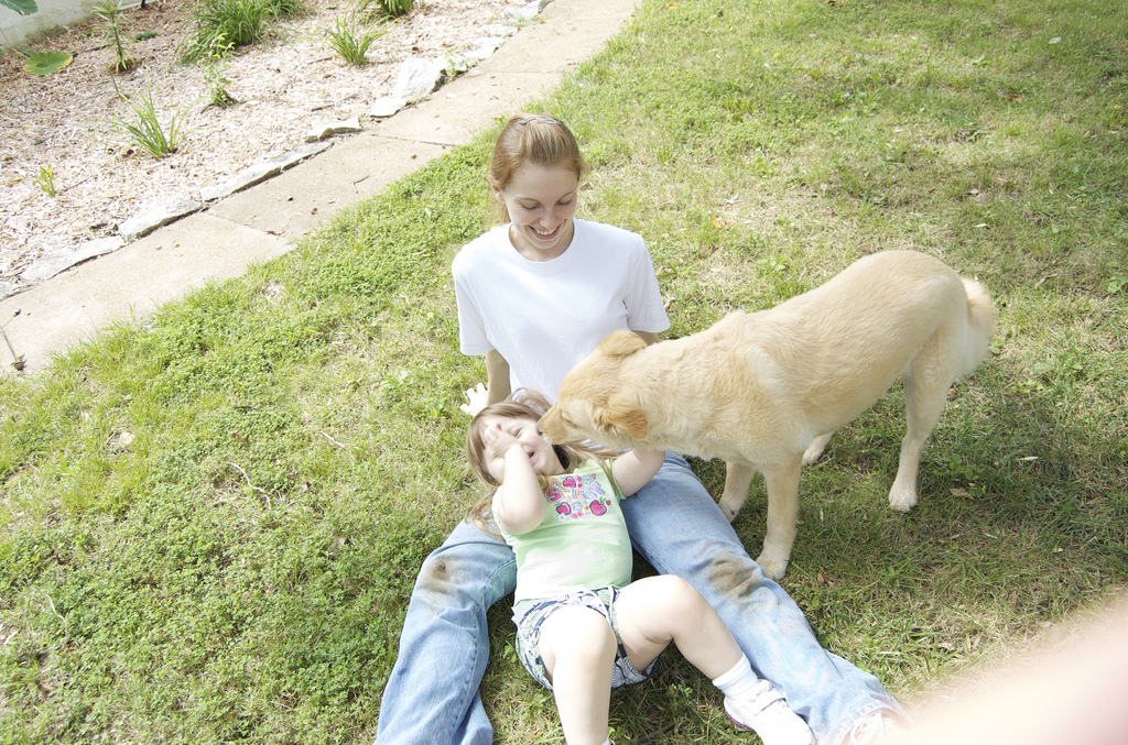 The Mommas and the Puppas