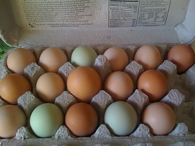 Eggs !